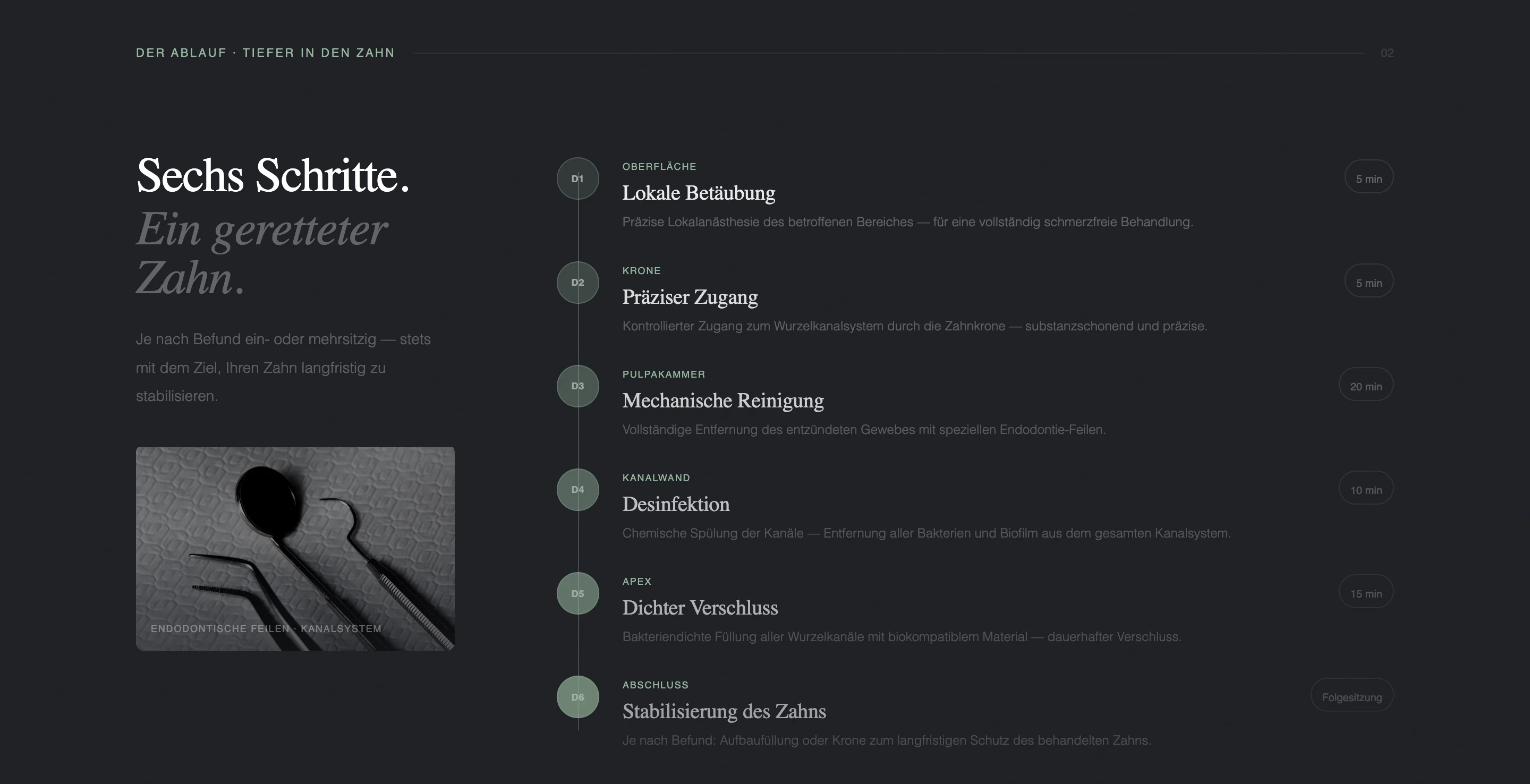 Layout der Zahnmedizin-Plattform fuer skalierbare Service-Erweiterung