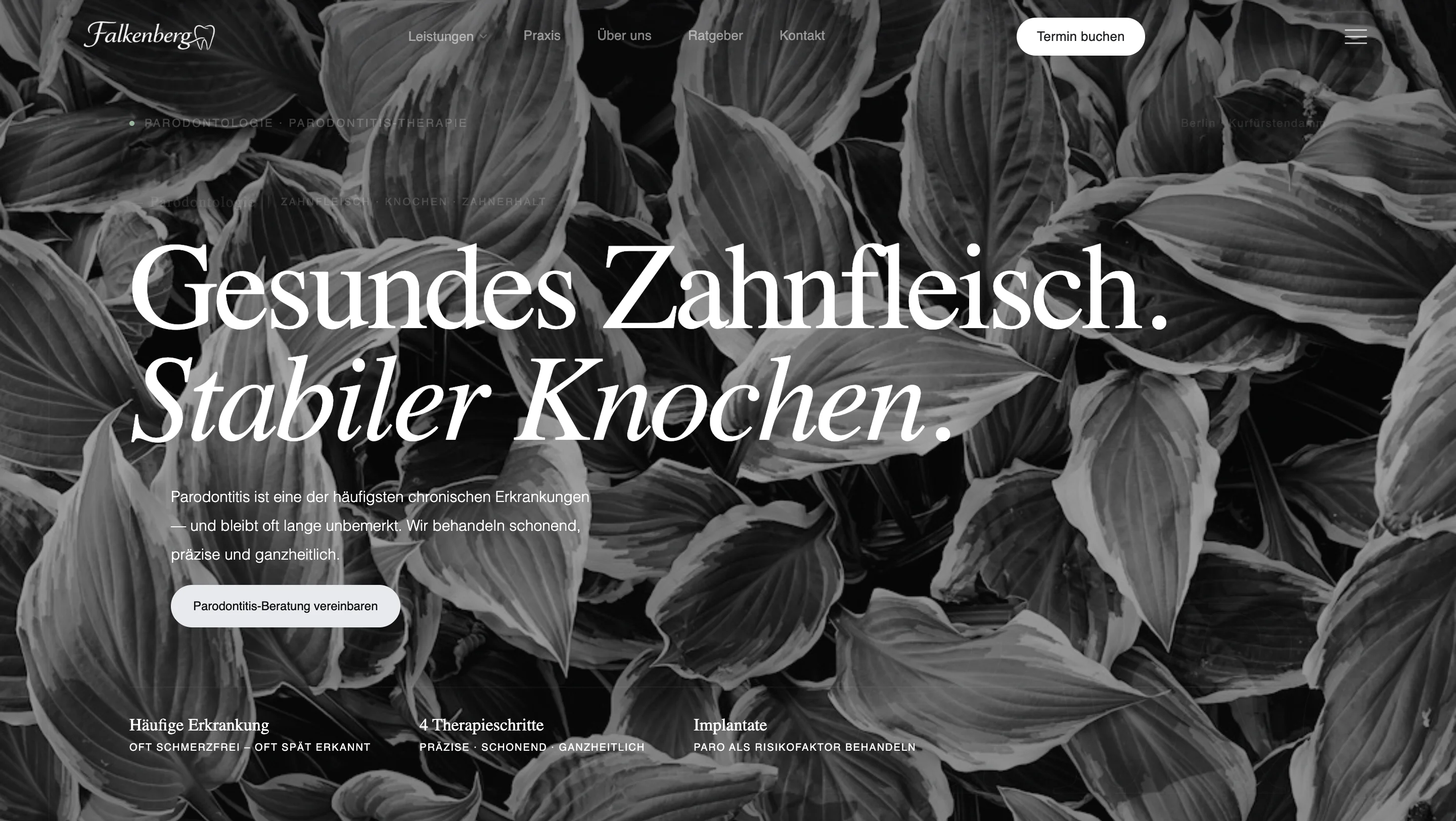 Strukturierte Behandlungsseite fuer biologische Zahnmedizin