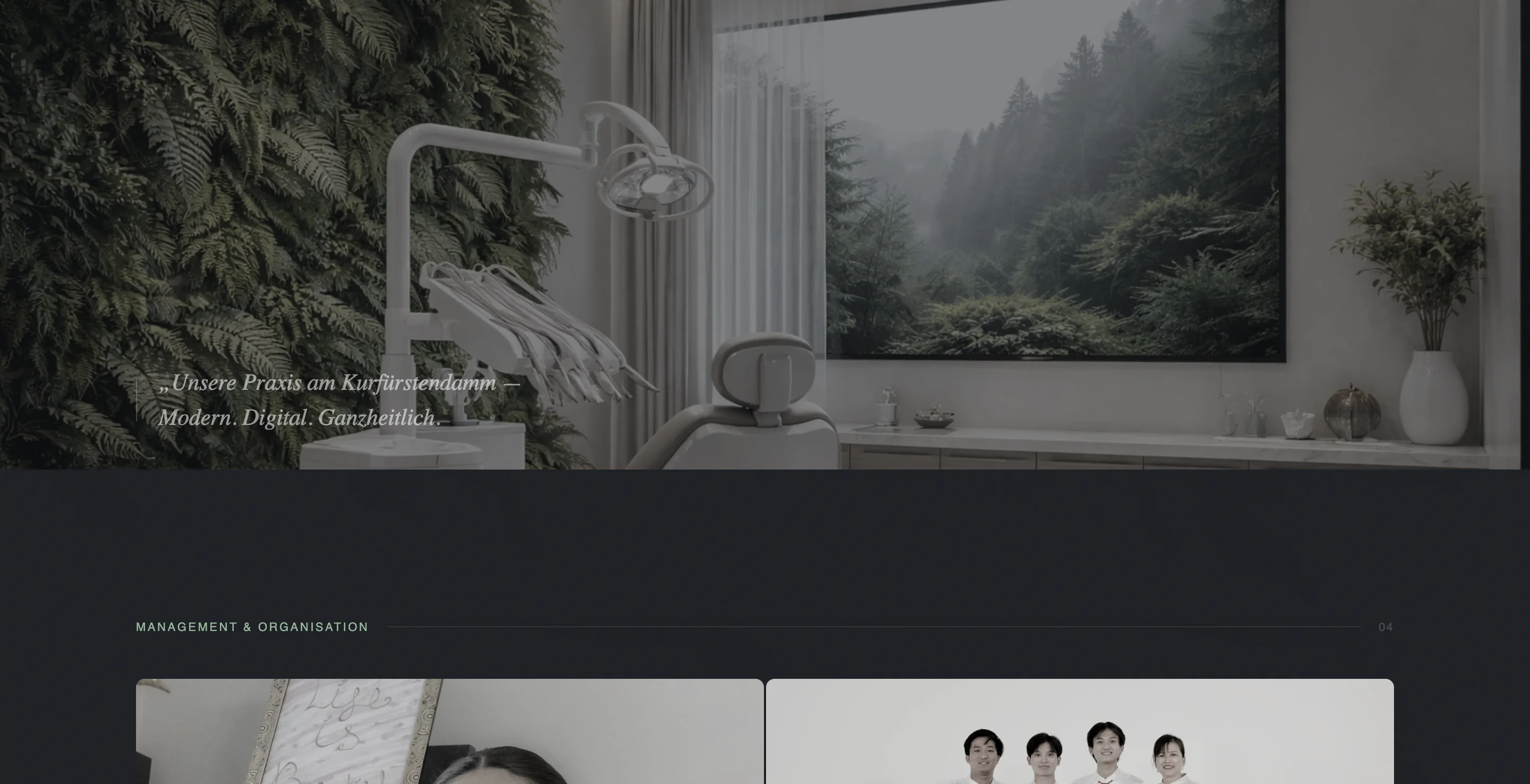 Zahnmedizin-Plattform Interface 80