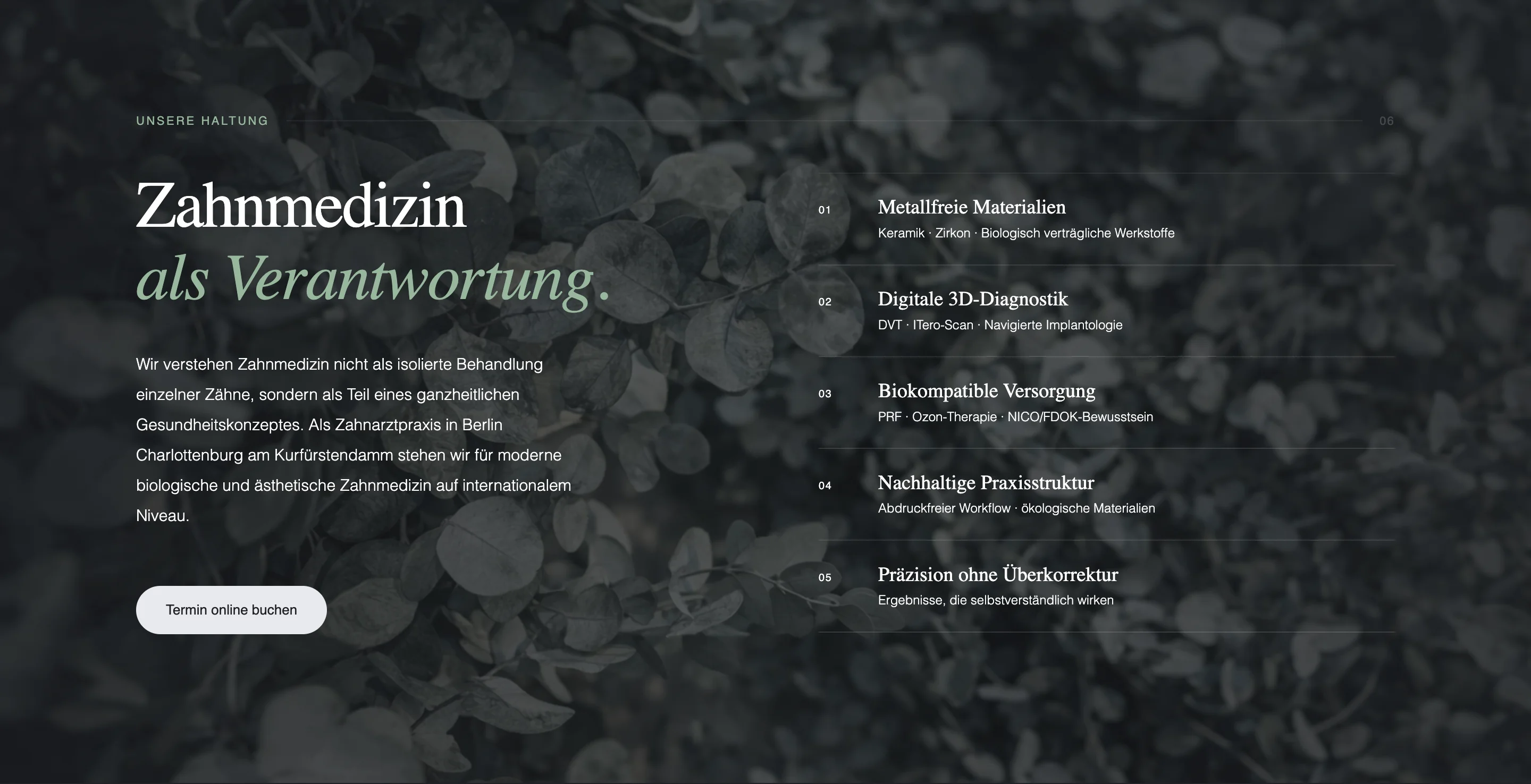 Zahnmedizin-Plattform Interface 81